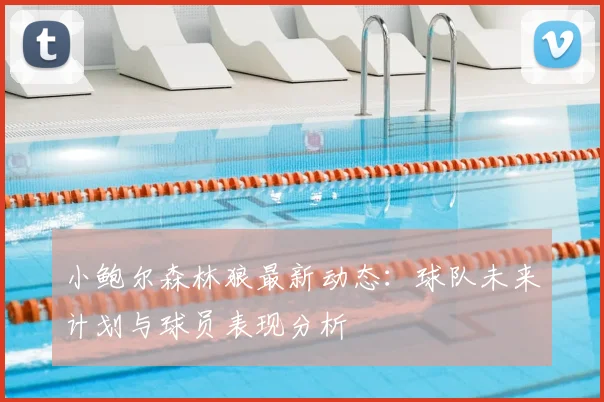 小鲍尔森林狼最新动态：球队未来计划与球员表现分析